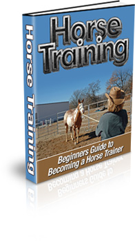 horse training tips and tricks