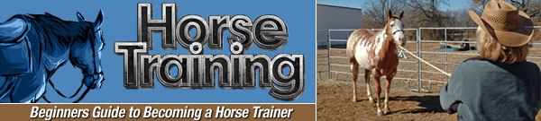 horse head theory how horses think