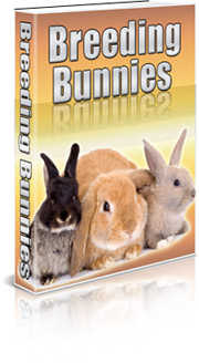 breeding bunnies for profit food meat fun