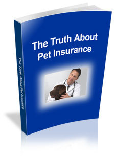 truth about pet insurance rabbits dogs