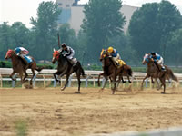 horse racing trainers stakes and betting